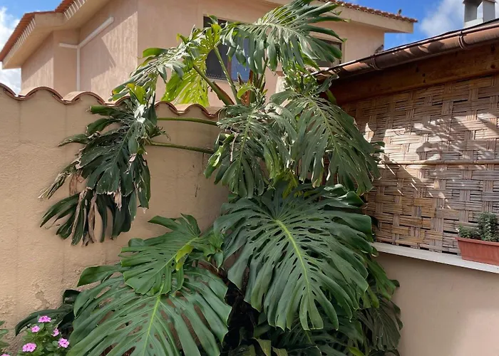 40° Parallelo Guest House